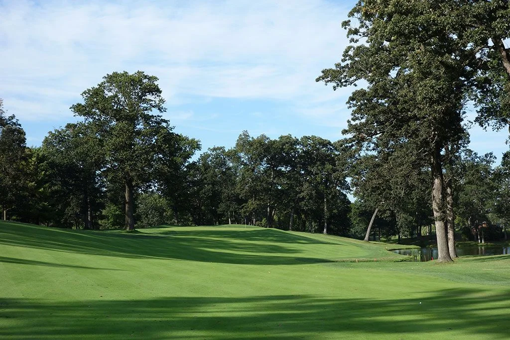 Đường bóng golf và hàng cây làm hình nền điện thoại