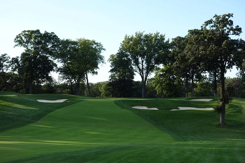 Sân golf với hàng cây rợp bóng làm hình nền điện thoại