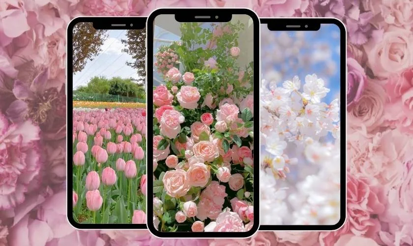 199+ Hình nền hoa đẹp cho iPhone full HD, 4K 2026